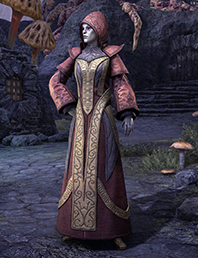 THE ELDER SCROLLS® ONLINE NECROM™ UPGRADE